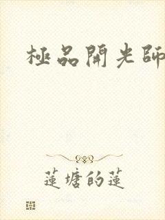 极品开光师