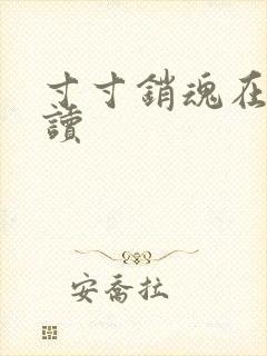 寸寸销魂在线阅读