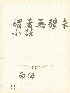 媚者无疆未删减小说