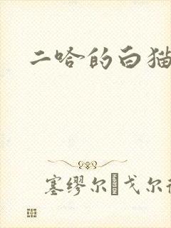 二哈的白猫师尊