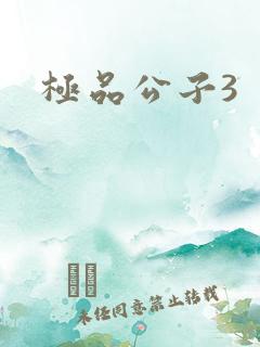 极品公子3