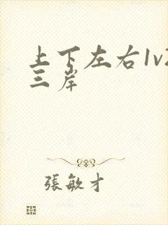 上下左右1v2三岸