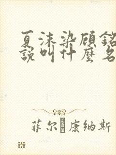 夏沫染顾铭修小说叫什么名字