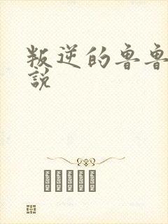 叛逆的鲁鲁修小说