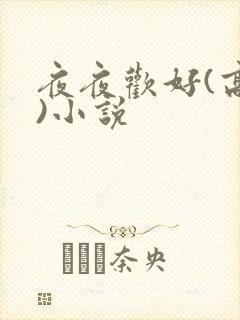 夜夜欢好(高h)小说