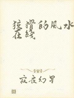 狡猾的风水相师在线