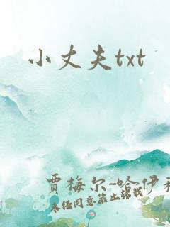 小丈夫txt