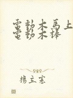 电动木马上两个电动木棒