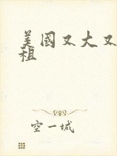 美国又大又长又租