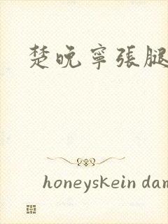 楚晚宁张腿放棋