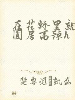 在花轿里就开始圆房高辣h