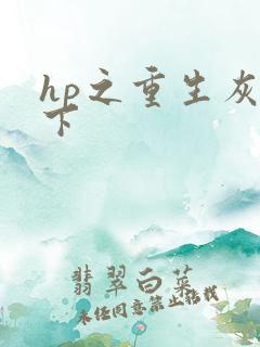 hp之重生灰猊下