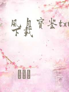 风月宝鉴txt下载