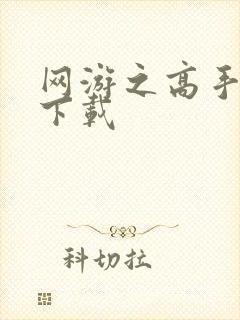 网游之高手寂寞下载