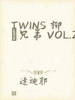 TWINS 柳澤兄弟 VOL.2