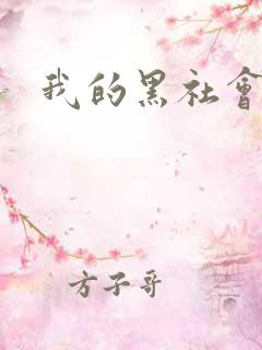 我的黑社会女友