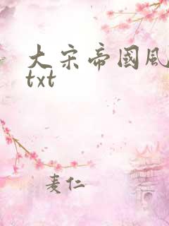 大宋帝国风云录txt