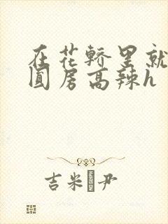 在花轿里就开始圆房高辣h