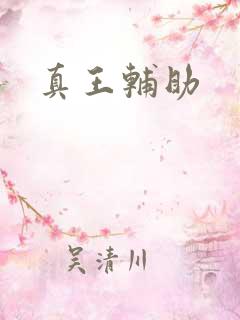 真王辅助