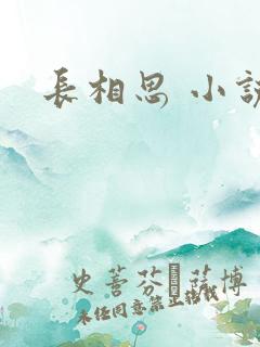 长相思 小说