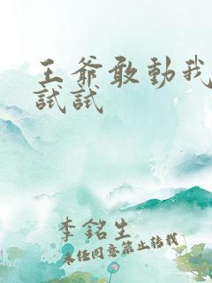 王爷敢动我妈咪试试