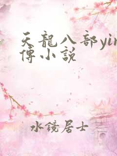 天龙八部yin传小说