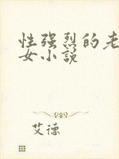 性强烈的老年妇女小说