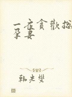 一夜贪欢总裁幸孕妻