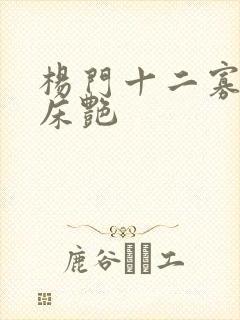 杨门十二寡妇肉床艳