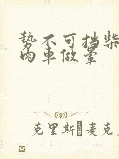 势不可挡柴鸡蛋肉车做晕