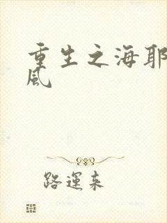 重生之海耶斯旋风