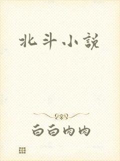 北斗小说