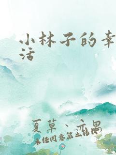 小林子的幸福生活