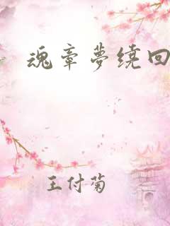 魂牵梦绕回大清