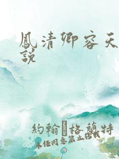 凤清卿容天凌小说
