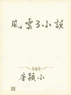 风云3小说