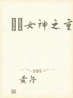 鹡鸰女神之重生