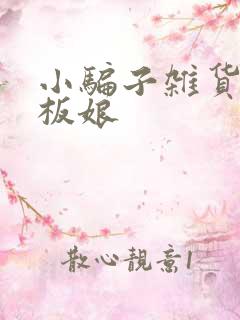 小骗子杂货铺老板娘