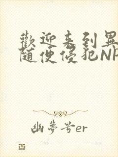 欢迎来到异世界随便侵犯NPC