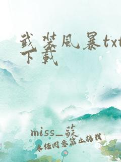 武装风暴txt下载