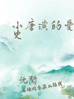 小唐璜的爱情历史