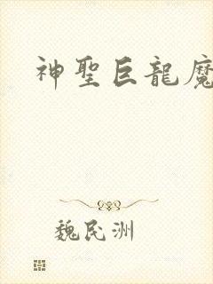 神圣巨龙魔法师