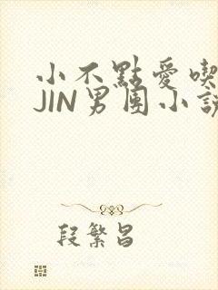 小不点爱吃肉混JIN男团小说