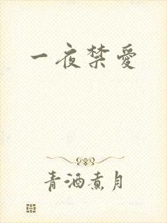 一夜禁爱