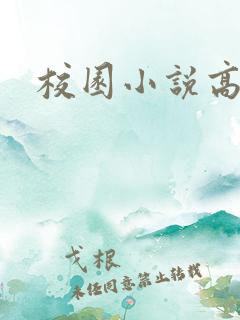 校园小说高h