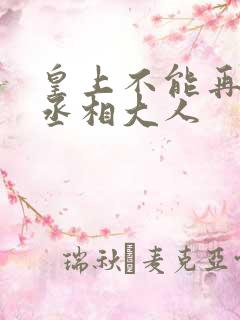 皇上不能再进了丞相大人