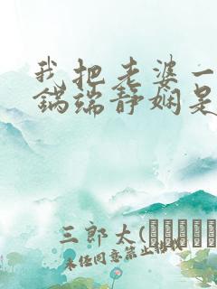 我把老婆一家一锅端静娴是什么书