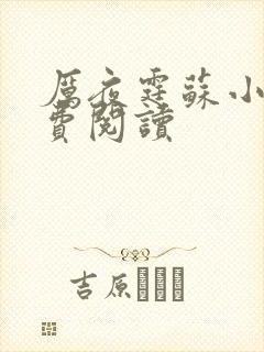 厉夜霆苏小汐免费阅读