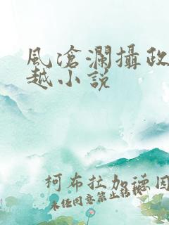 风沧澜摄政王穿越小说