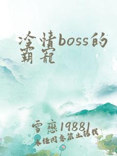 冷情boss的霸宠
